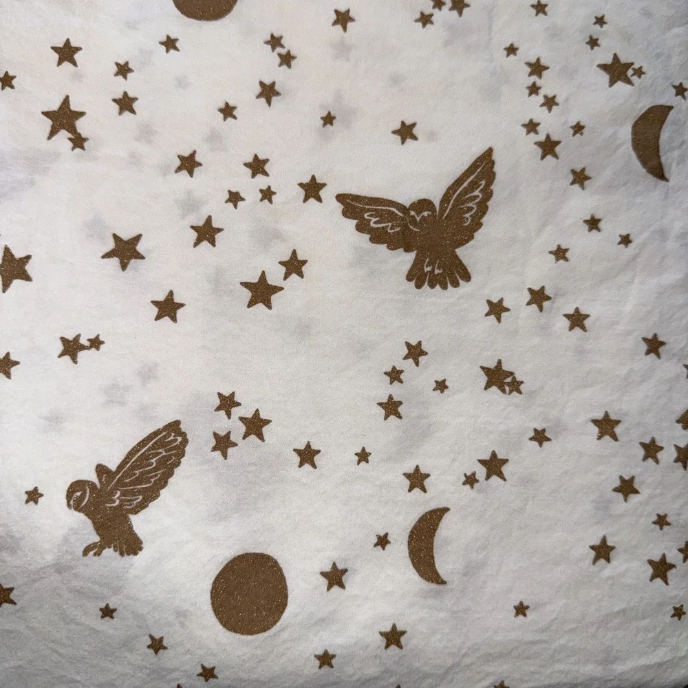 Pottery Barn PB Teen Harry Potter Enchanted Night Sky Full Flat Sheet